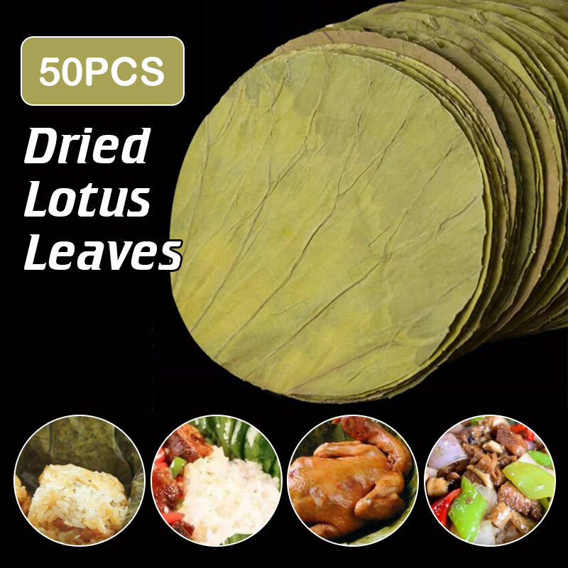 50Pcs 22cm Big Natural Dried L - مراجعة Interior Design Kitchen وسعره