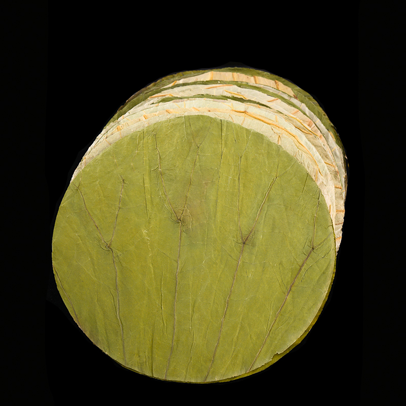 50Pcs 22cm Big Natural Dried L - مراجعة Interior Design Kitchen وسعره