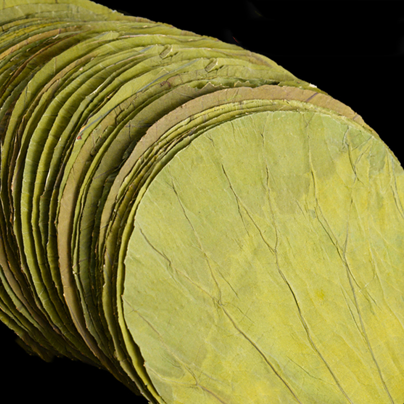 50Pcs 22cm Big Natural Dried L - مراجعة Interior Design Kitchen وسعره